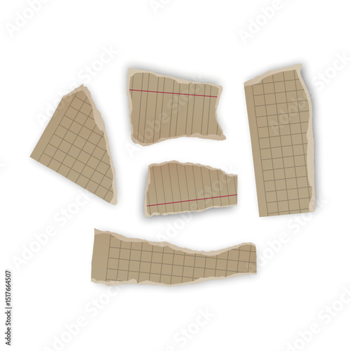 Torn Notebook Paper Pieces