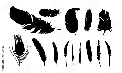 Collection of various feather silhouettes.