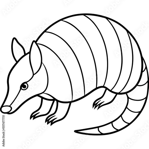 Armadillo with Segmented Shell in Curled Side View