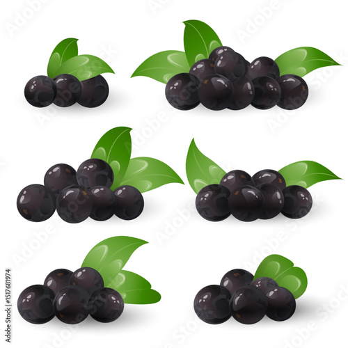 Set jaboticaba fruit, exotic brazilian berries. Perfect for food packaging, healthy eating designs, recipe books, botanical projects, and tropical fruit collections