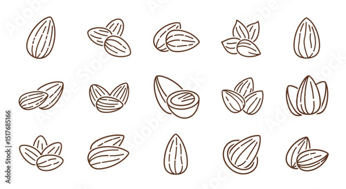 Collection of Almond Nut Illustrations Line Art Icons and Designs
