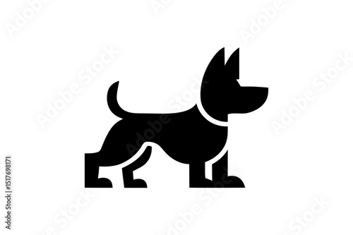Silhouette of a cute dog standing with collar on neck