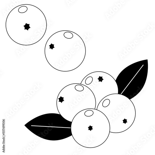 フルーツ　クランベリーのシンプルアイコン　モノクロ〜Fruit cranberry simple icon monochrome〜