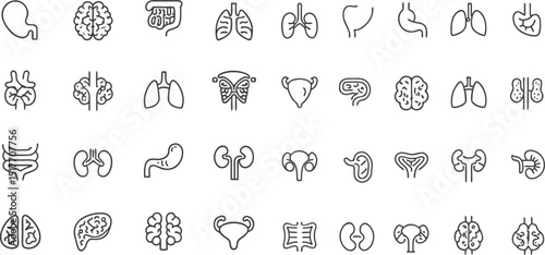 Collection of Human Internal Organs in Outline Style Anatomical Icons