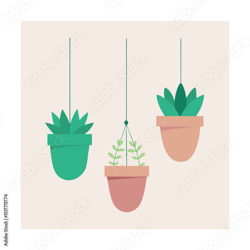 Three Hanging Plant Pots with Trailing Succulents