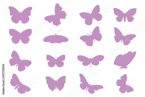 Collection of butterfly vector, icon. Butterfly silhouette, vector set. Abstract modern butterfly, insect silhouette. Vector illustration.
