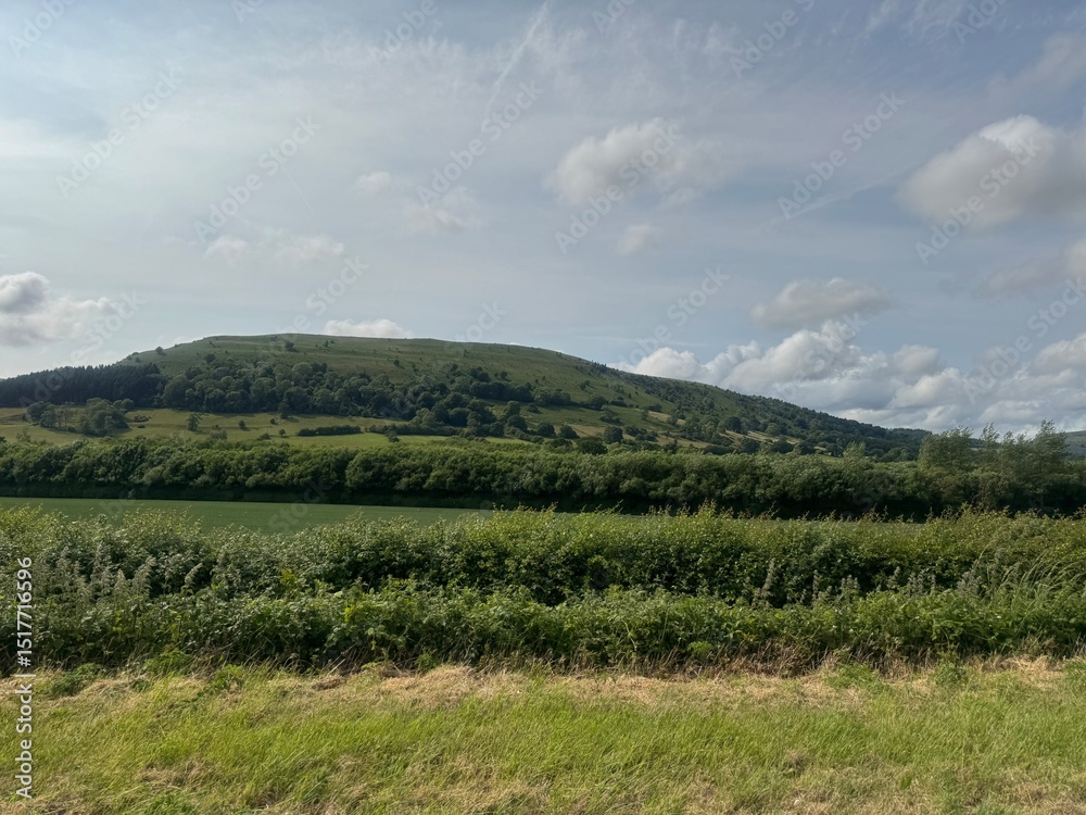 Fototapeta premium landscape with clouds