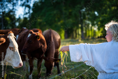 Blond woman feeding grass to cow photo
