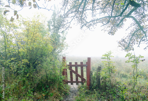 Wooden gate amidst plants in forest photo