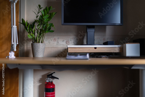 Houseplant near computer monitor on desk