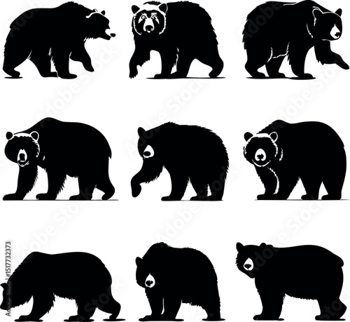 Nine Silhouette Images of Bears in Various Poses Isolated on White