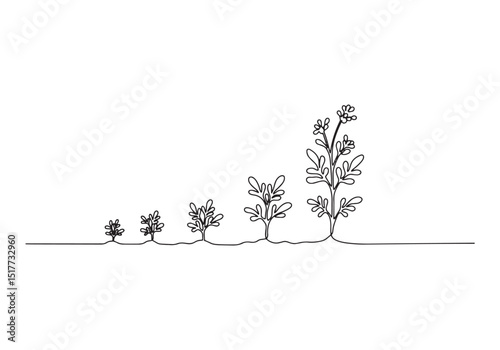 Continuous Line Drawing Illustrating the Growth Stages of a Plan