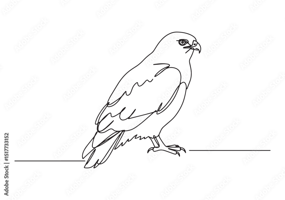 Fototapeta premium Elegant buzzard captured in continuous line drawing, a minimalis