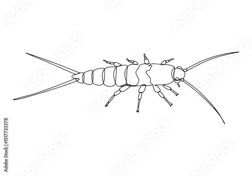 Elegant Silverfish Arthropod Illustration in a Single Continuous