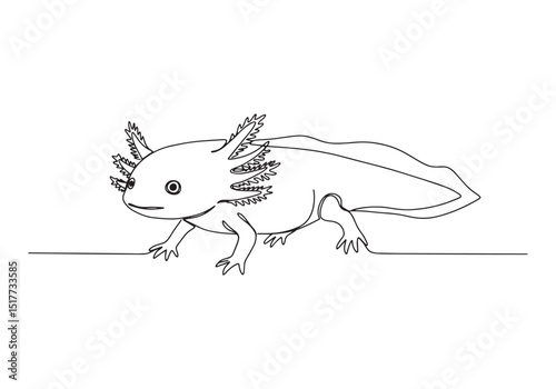 Axolotl Continuous Line Drawing, Minimalist Black and White Illu