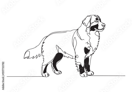 Elegant Bernese Mountain Dog Continuous Line Art Illustration De
