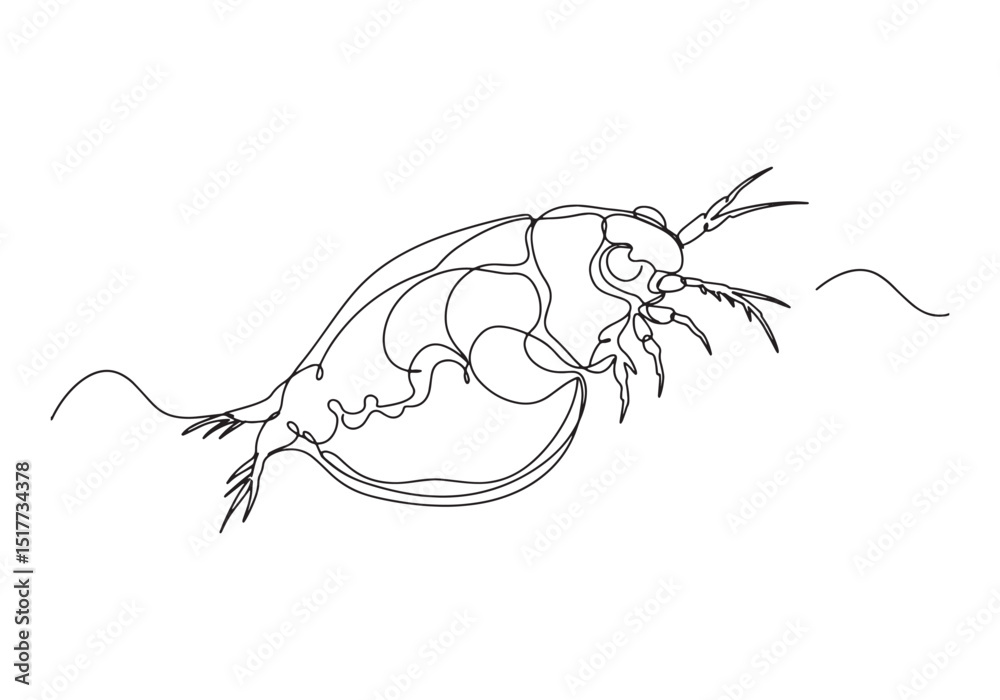 Fototapeta premium Elegant Daphnia Magna, A Delicate Water Flea in Continuous Line