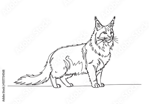 Elegant Maine Coon Portrait, Continuous Line Art in Black and Wh