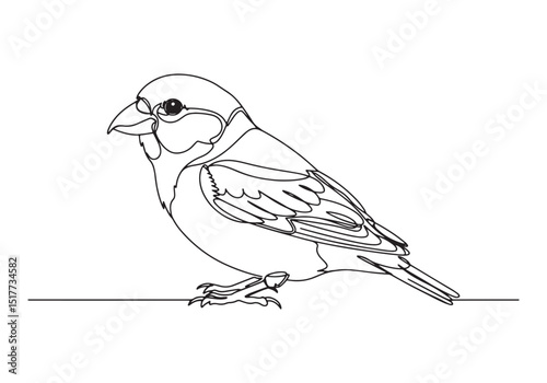 Elegant Crossbill Bird Portrait, A Continuous Line Art Illustrat