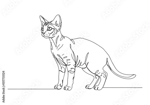 Elegant continuous line drawing of a Devon Rex cat, minimalist s