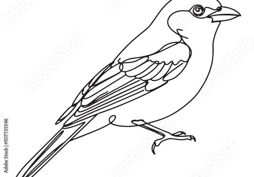 Elegant tanager bird depicted in minimalist continuous line draw