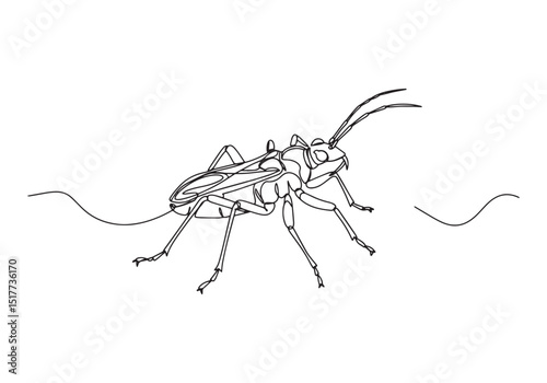 Elegant continuous line drawing of an Assassin bug illustration