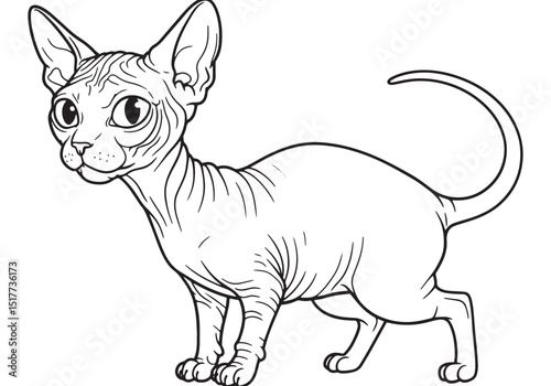Adorable Sphynx Cat Coloring Page, A Delightful Black and White