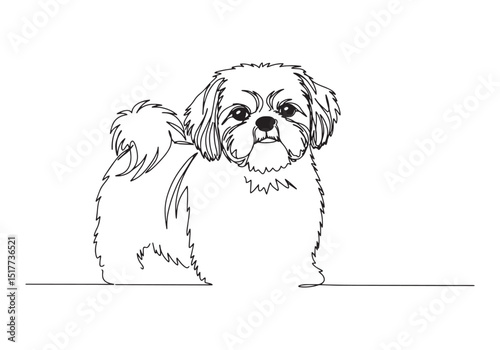 Elegant continuous line drawing of a Shih Tzu breed dog portrait