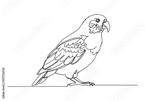 Elegant kakapo parrot continuous line drawing isolated on white