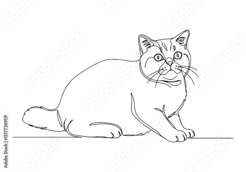 Elegant Scottish Fold cat portrait in continuous line art style