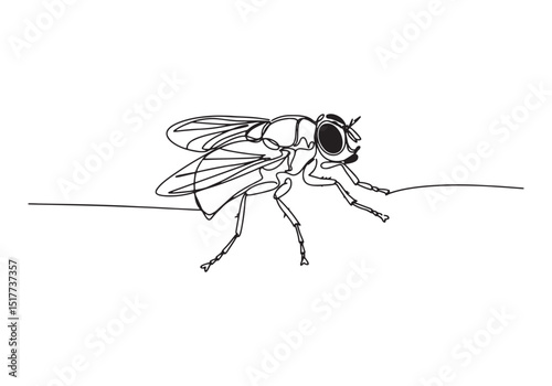 Artistic Continuous Line Drawing of a Fly Insect Black and White