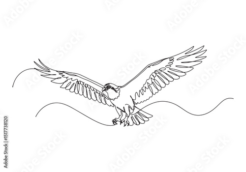 Elegant osprey soars in a continuous line drawing with wings spr