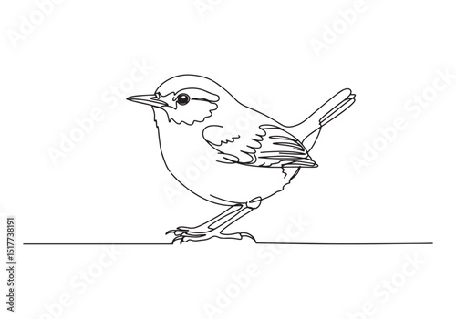 Elegant Wren Bird Illustration, A Continuous Line Drawing in Bla