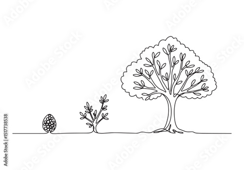 Continuous Line Illustration Depicting Tree Growth Stages from S