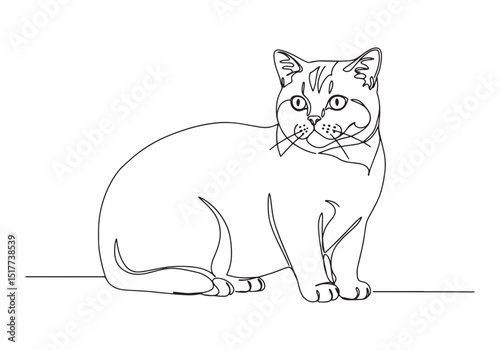 Elegant Scottish Fold Portrait in Minimalist Continuous Line Dra