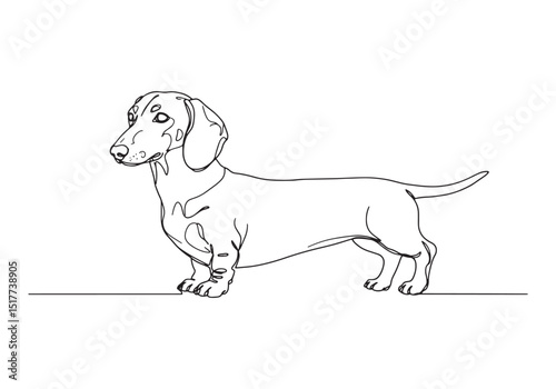 Elegant Dachshund Portrait in Continuous Line Art Illustration S