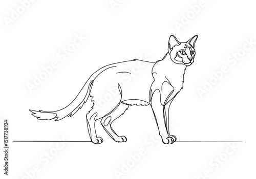 Elegant feline artistry, Balinese cat in continuous line drawing