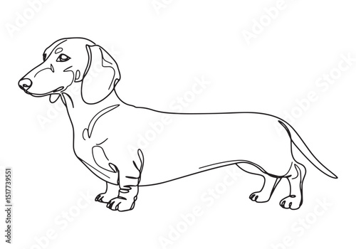 Elegant Dachshund Portrait in Continuous Line Drawing Style Artw