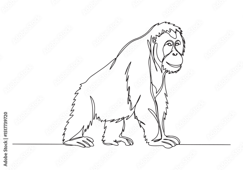 Obraz premium Elegant orangutan portrait in continuous line drawing style illu