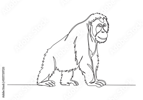 Elegant orangutan portrait in continuous line drawing style illu