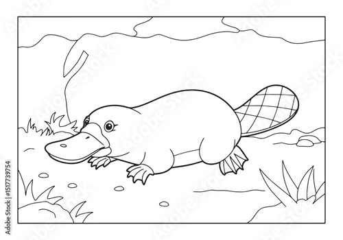 Vintage Platypus Illustration, Coloring Page for Children and Ad