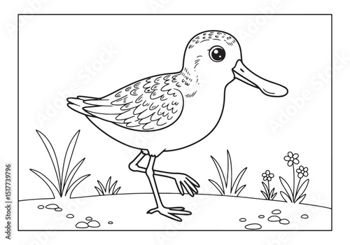 Spoon-billed Sandpiper Coloring Page, A Delightful Activity for