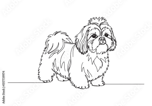 Elegant shih tzu portrait created with a continuous single line