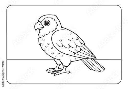 Detailed Line Art Hawk Illustration for Children's Coloring Book