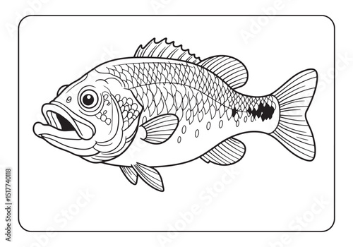 Detailed Bass Fish Illustration for Coloring Books and Education
