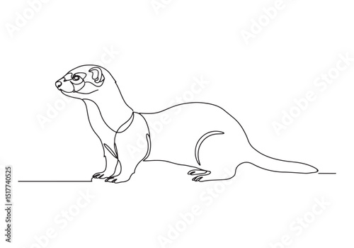 Ferret continuous line drawing, minimalist style illustration, b