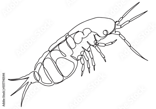 Elegant One-Line Copepod Illustration, Minimalist Black and Whit