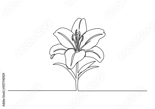 Elegant Easter Lily Blossom Continuous Line Drawing Illustration