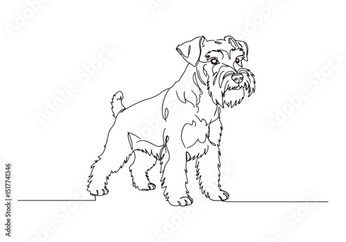 Elegant Miniature Schnauzer, Continuous Line Art in Minimalist S
