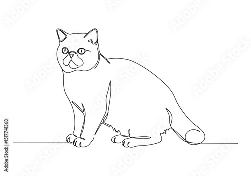Continuous Line Drawing Illustration of Exotic Shorthair Cat, Mi